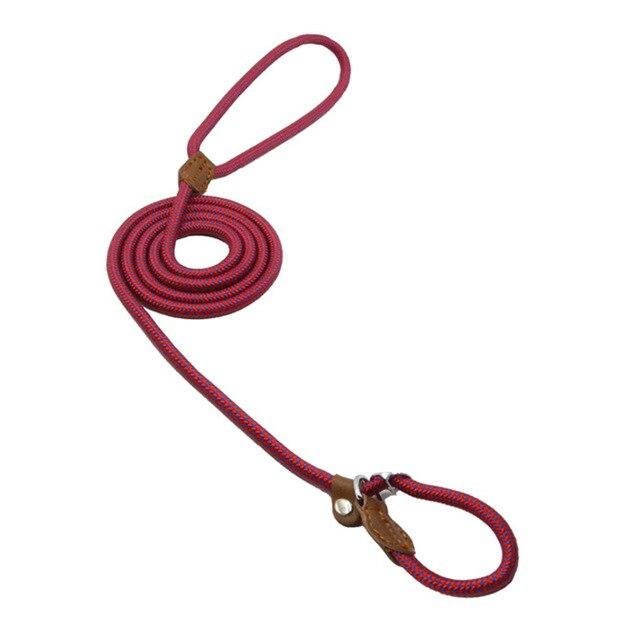 Nylon Dog Collar & Leash Set – Durable Everyday Walks