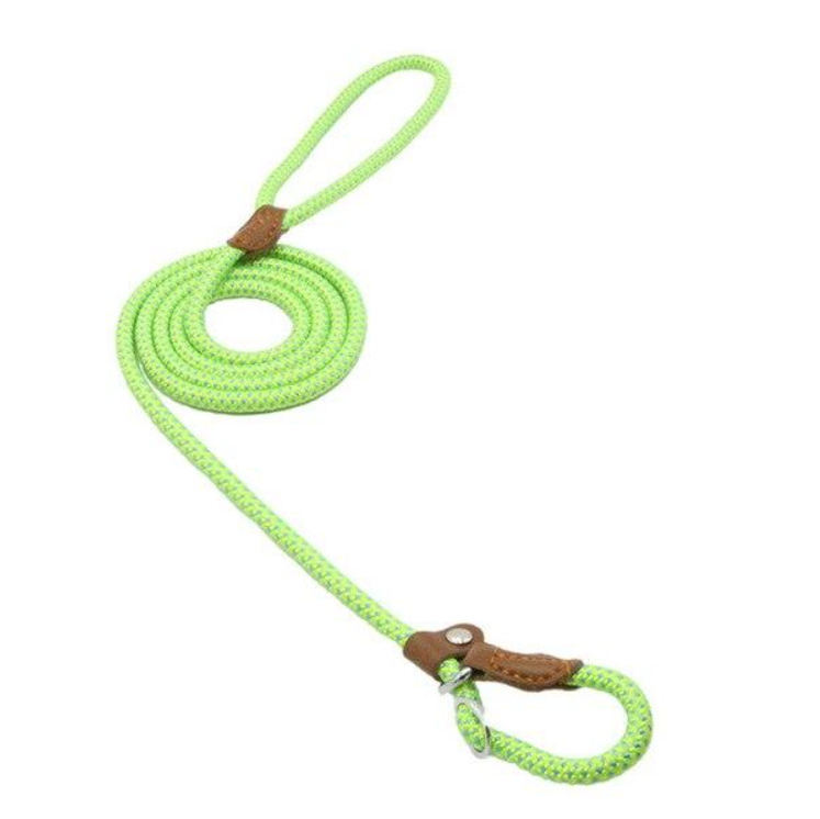 Nylon Dog Collar & Leash Set – Durable Everyday Walks