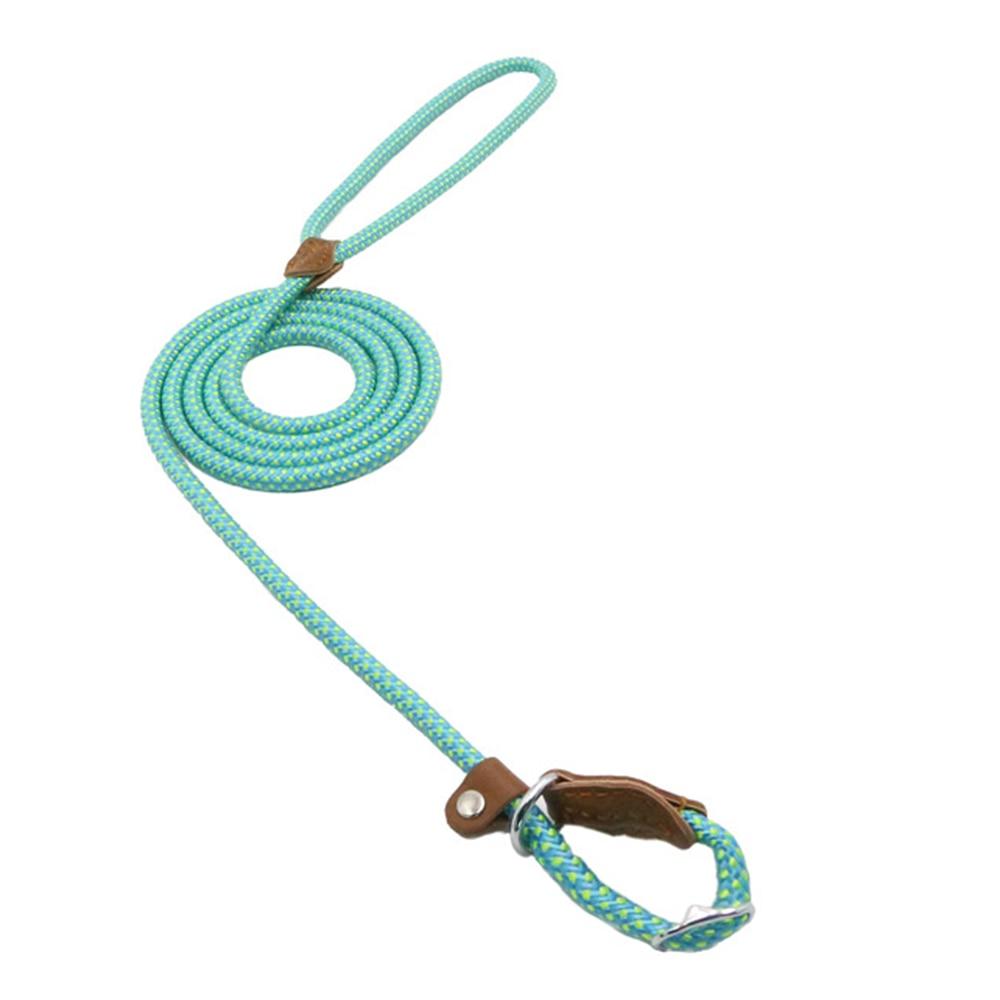 Nylon Dog Collar & Leash Set – Durable Everyday Walks