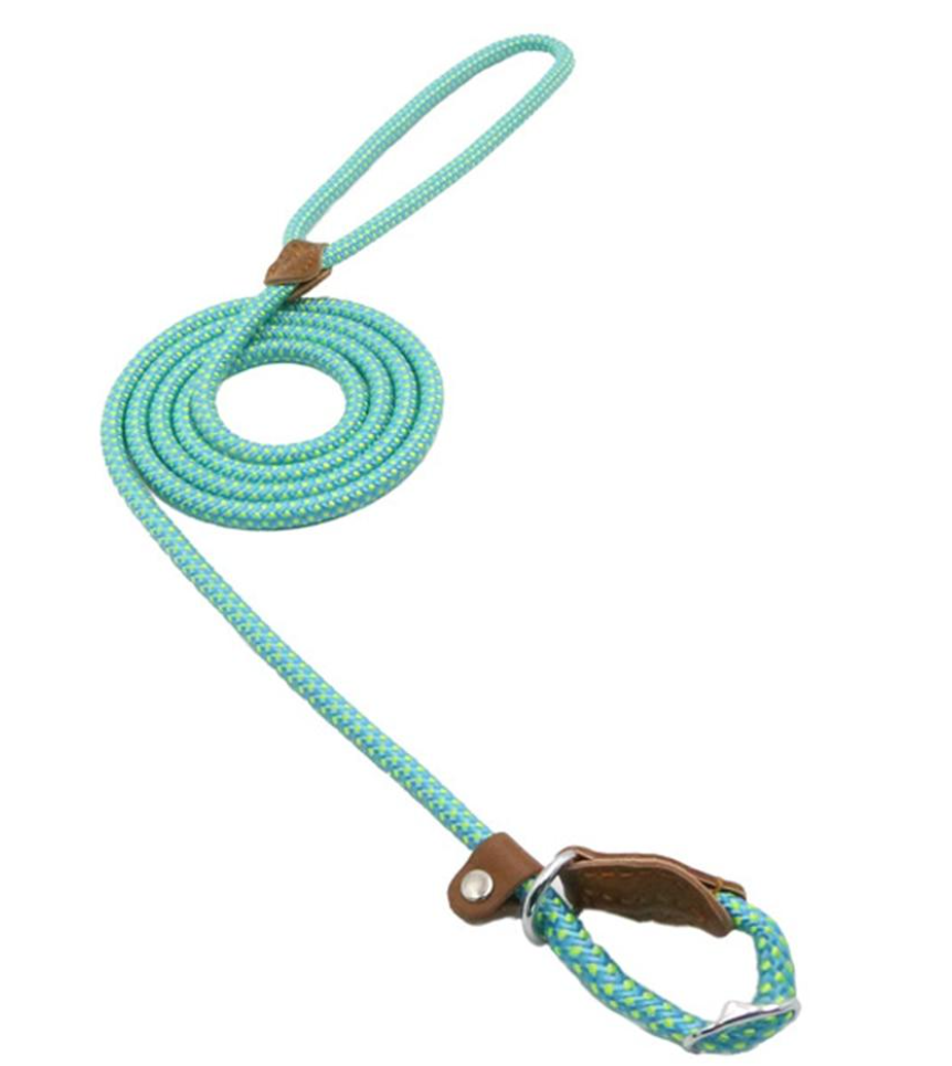 Nylon Dog Collar & Leash Set – Durable Everyday Walks