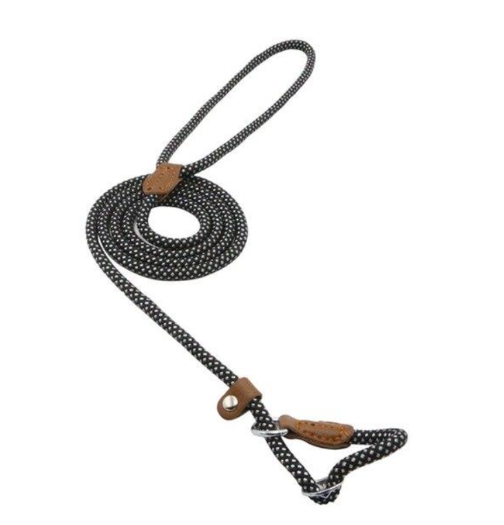 Nylon Dog Collar & Leash Set – Durable Everyday Walks