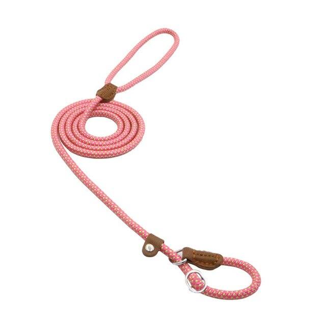 Nylon Dog Collar & Leash Set – Durable Everyday Walks