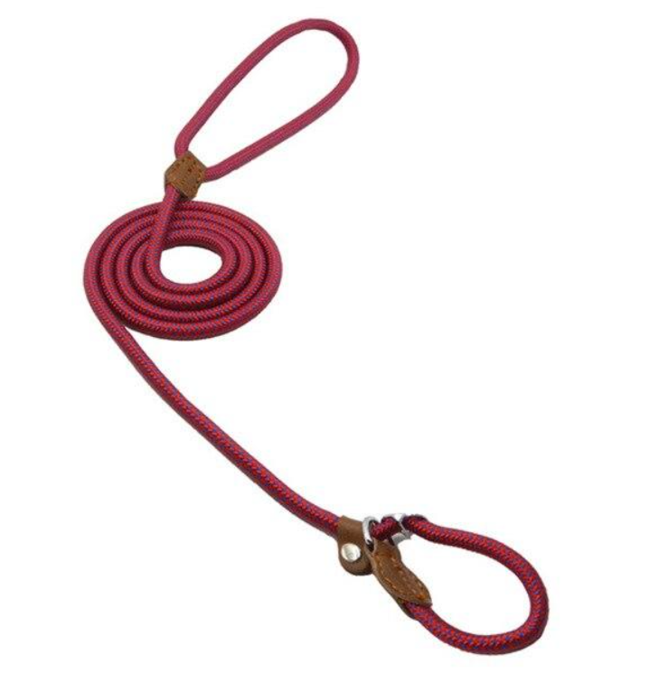 Nylon Dog Collar & Leash Set – Durable Everyday Walks