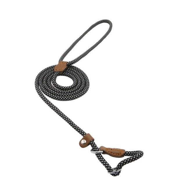 Nylon Dog Collar & Leash Set – Durable Everyday Walks