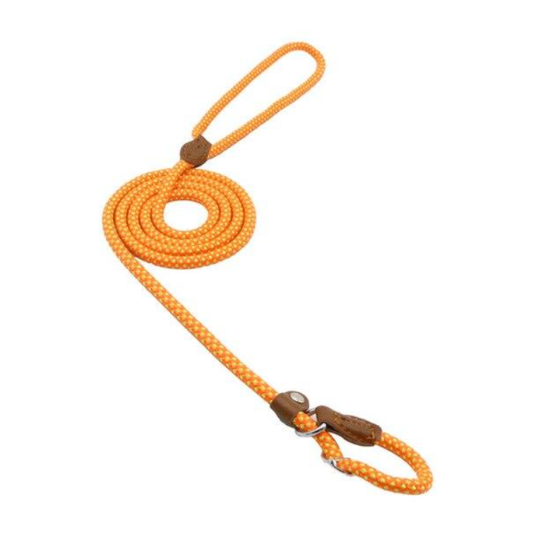 Nylon Dog Collar & Leash Set – Durable Everyday Walks