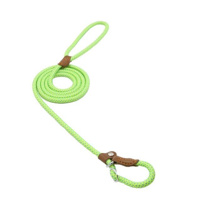 Nylon Dog Collar & Leash Set – Durable Everyday Walks