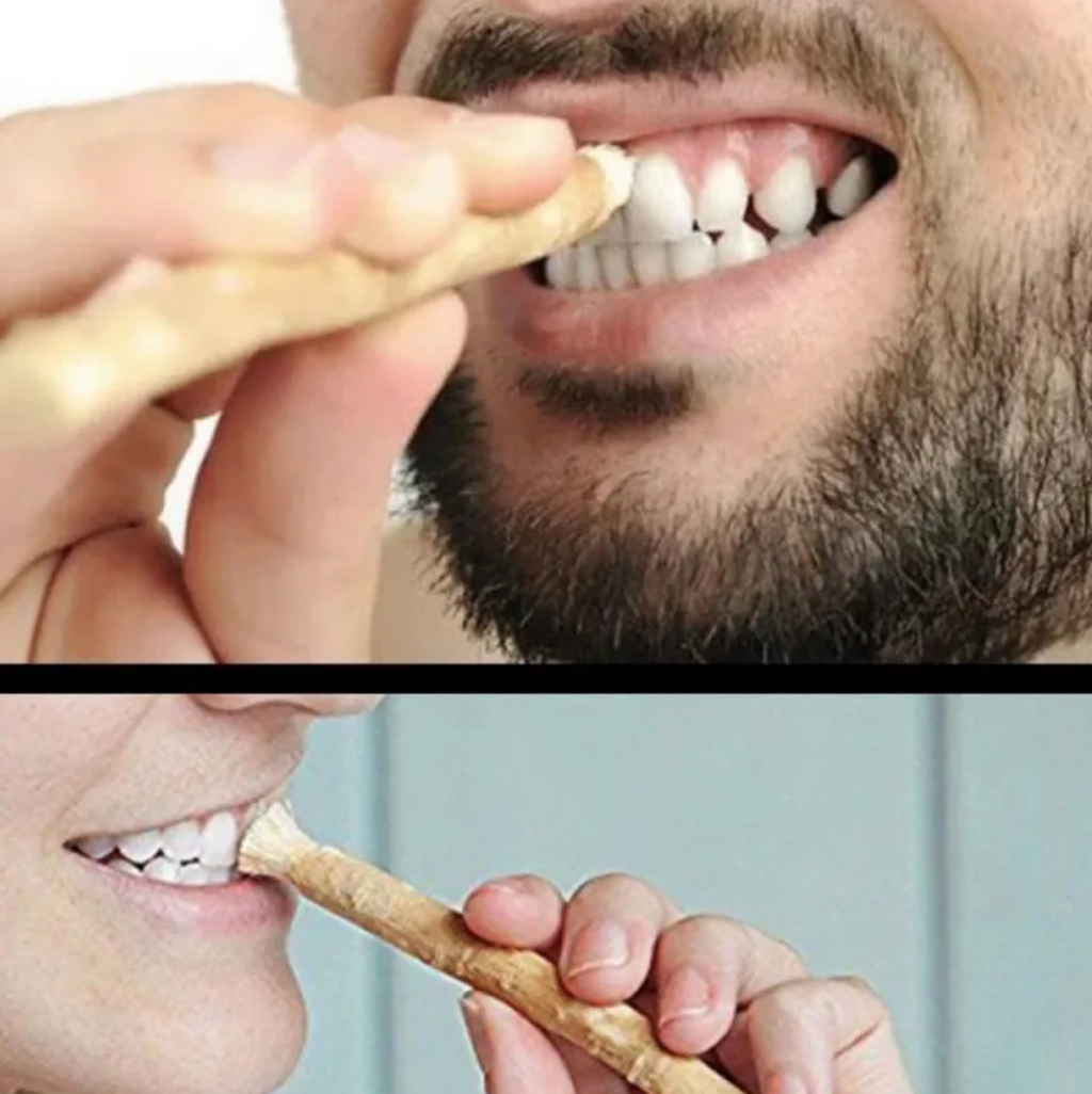 Miswak Natural Tooth Cleaning Stick – Fresh, the Natural Way