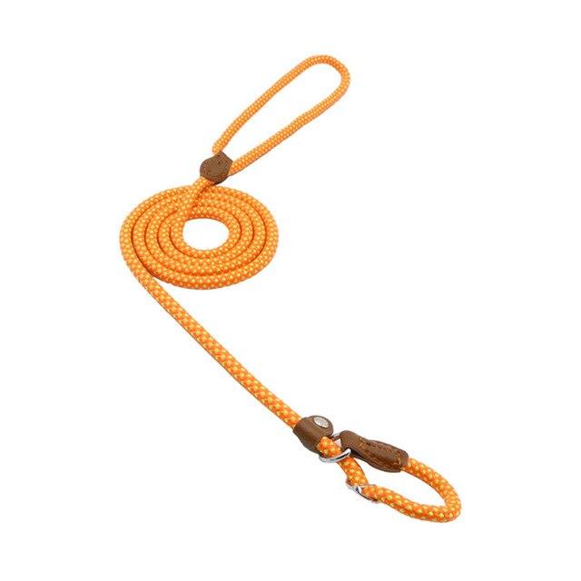 Nylon Dog Collar & Leash Set – Durable Everyday Walks